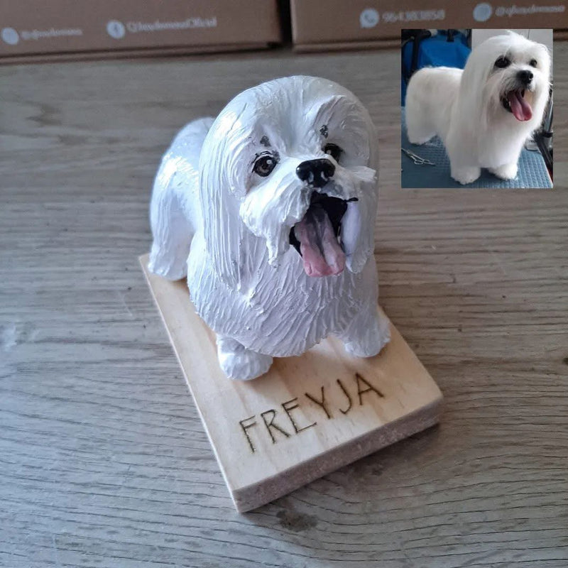 01. Envíanos las fotos de tu mascota